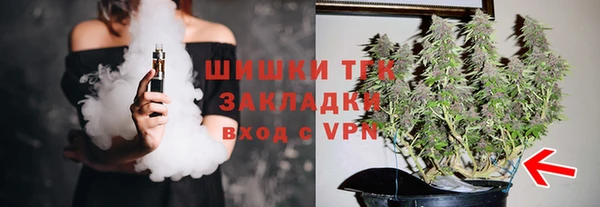 индика Арсеньев