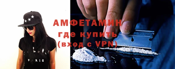 индика Арсеньев