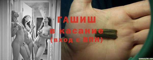 индика Арсеньев