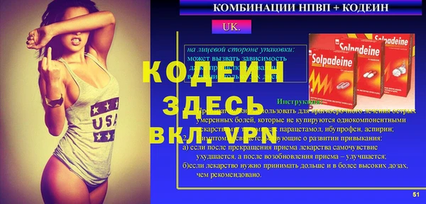 индика Арсеньев
