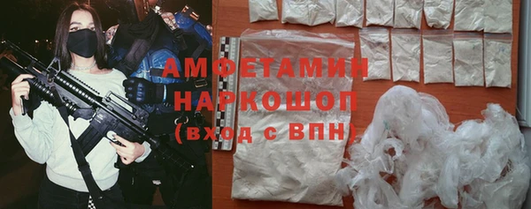 индика Арсеньев