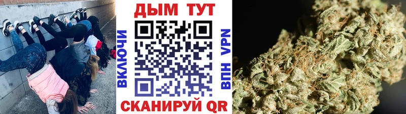 нарко площадка клад  Тында  Конопля гибрид 